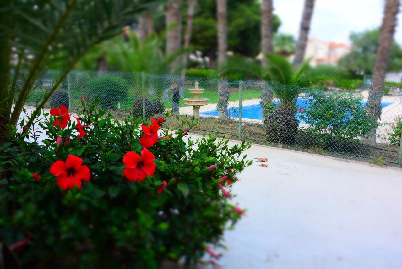 Palmeras, Piscina, Campo De Futbol Y Jardin Privados Mazarron Luaran gambar