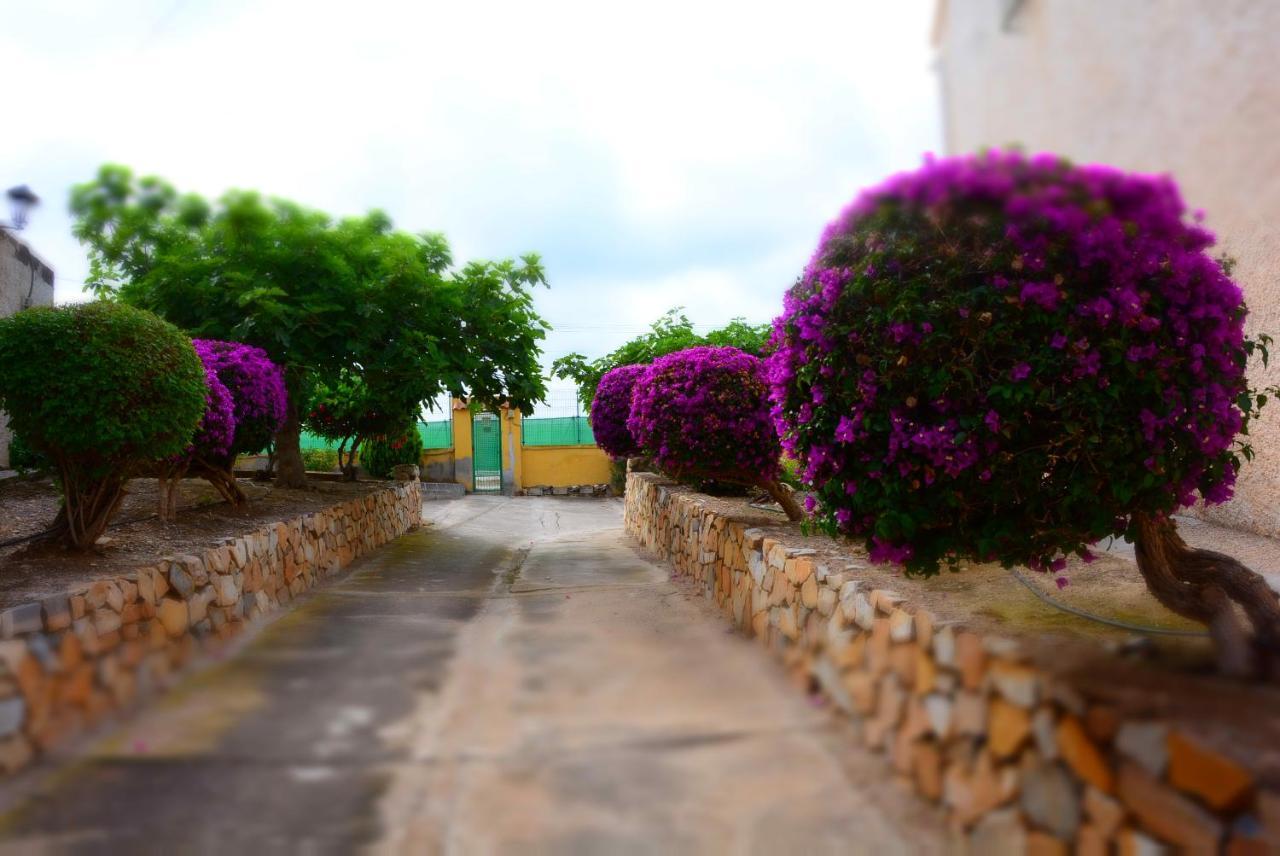 Palmeras, Piscina, Campo De Futbol Y Jardin Privados Mazarron Luaran gambar