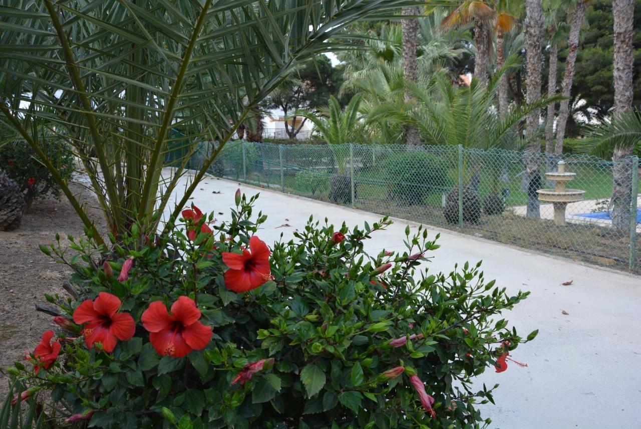 Palmeras, Piscina, Campo De Futbol Y Jardin Privados Mazarron Luaran gambar