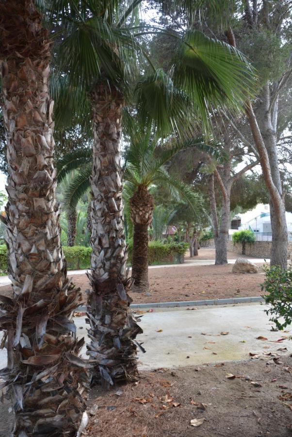 Palmeras, Piscina, Campo De Futbol Y Jardin Privados Mazarron Luaran gambar