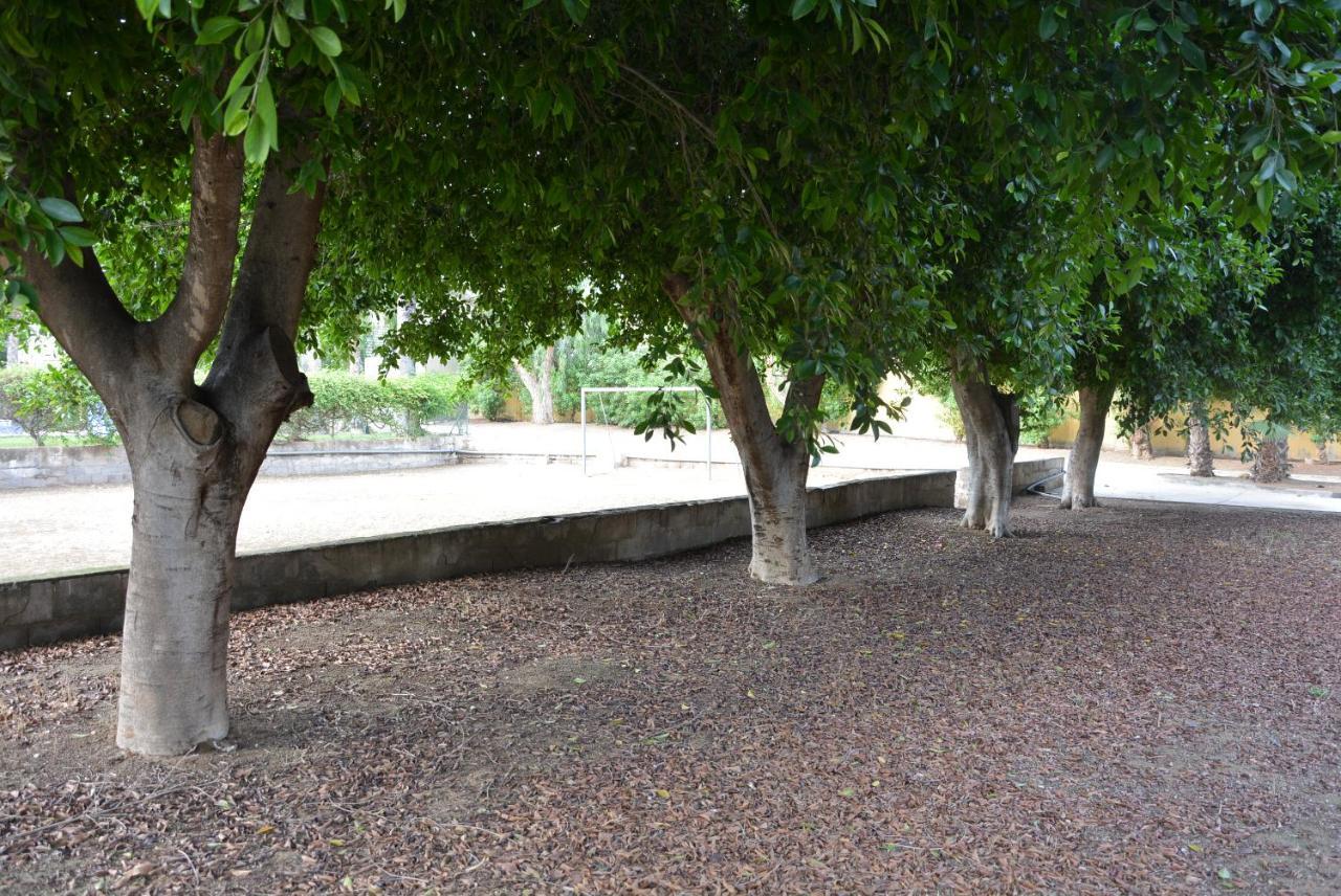 Palmeras, Piscina, Campo De Futbol Y Jardin Privados Mazarron Luaran gambar