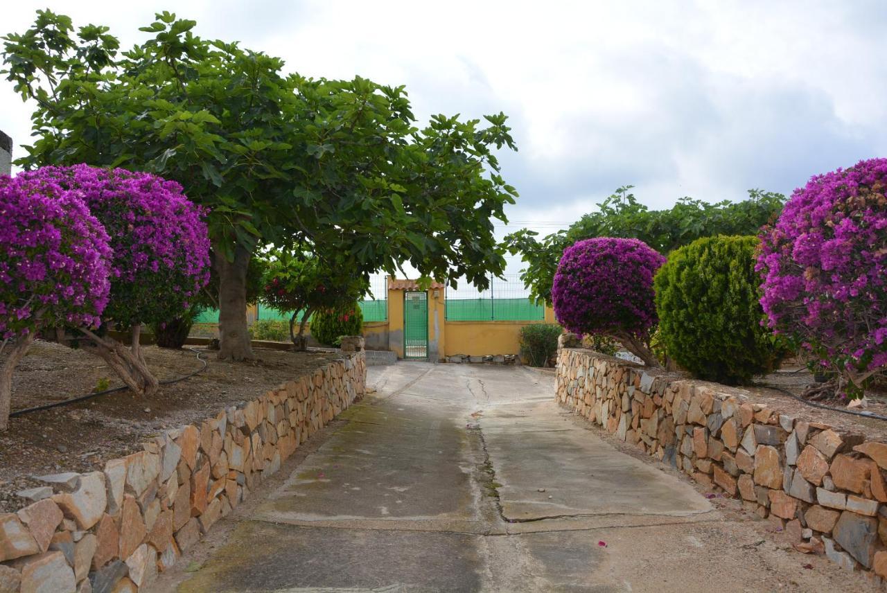Palmeras, Piscina, Campo De Futbol Y Jardin Privados Mazarron Luaran gambar